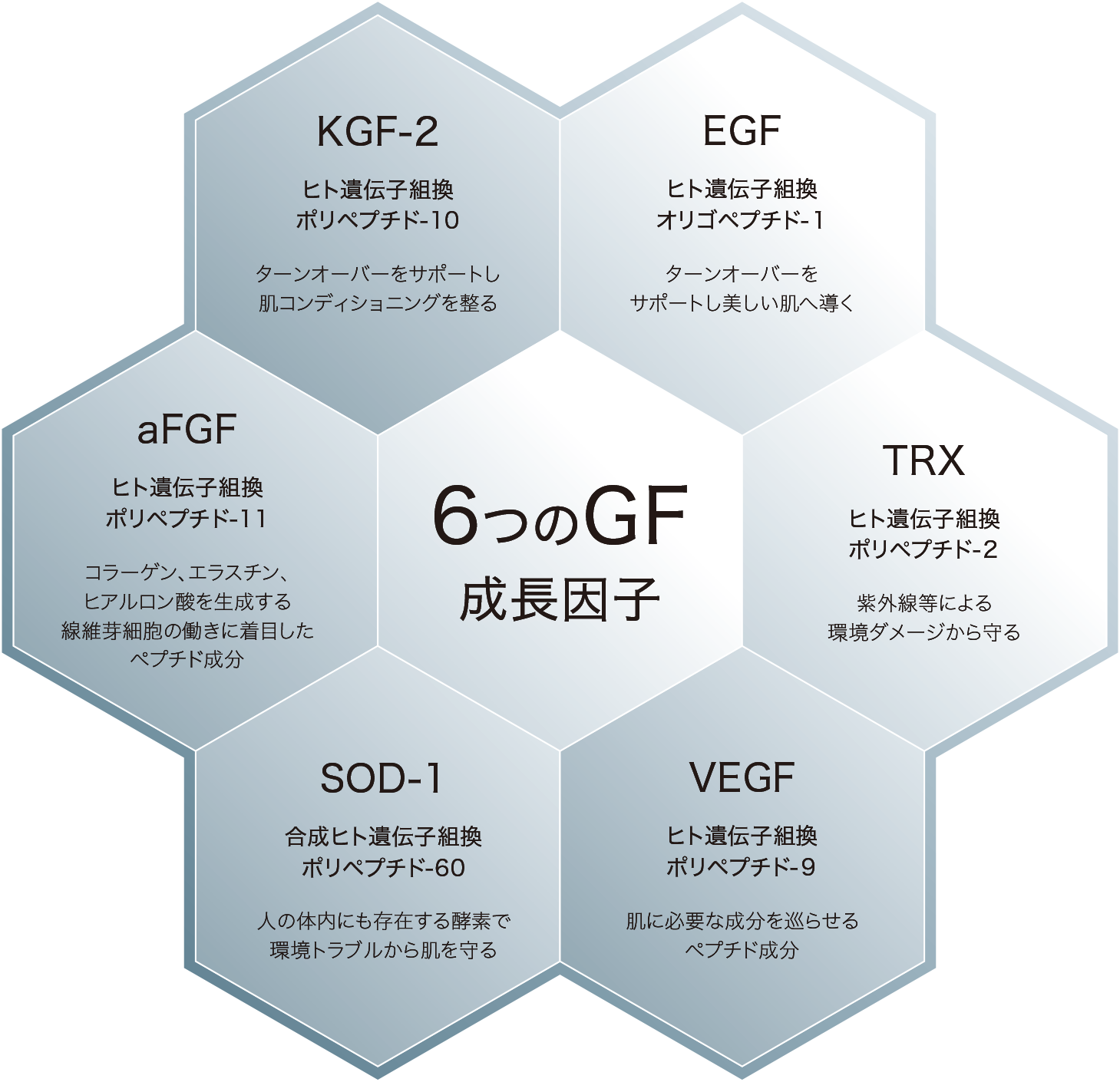 6つのGF成長因子